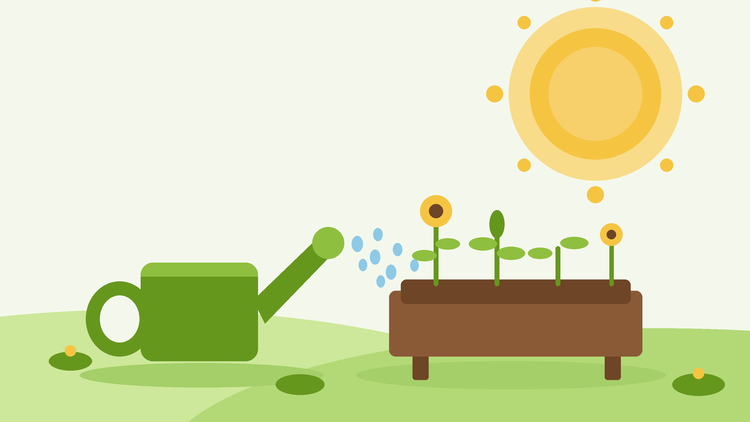 Gieten tijdens een hittegolf — vlakke illustratie van een gieter die een verhoogd tuinbed nat maakt onder een stralende zomerzon, van SeedsChoice