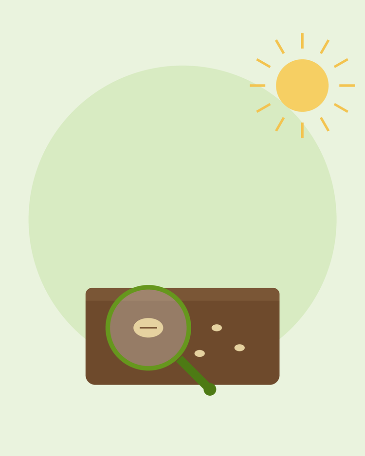 Flat illustration of a magnifying glass inspecting a seed in the soil — troubleshooting why seeds won't germinate, from SeedsChoice