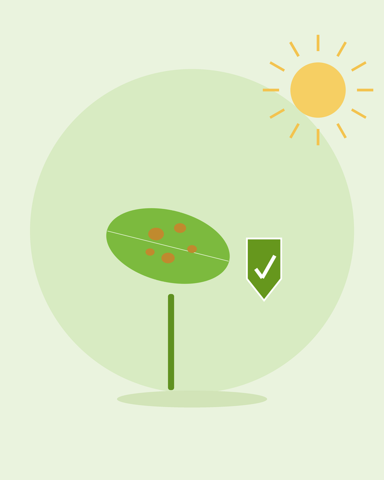 Flat illustration of een spotted blad beside een groen protection shield — preventing veelvoorkomend plant diseases, van SeedsChoice