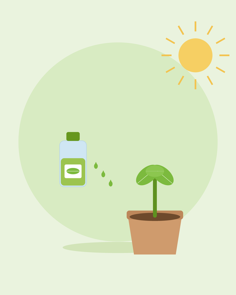 Flat illustration of een plant-feed bottle met drops beside een potted seedling — feeding en fertilising planten, van SeedsChoice