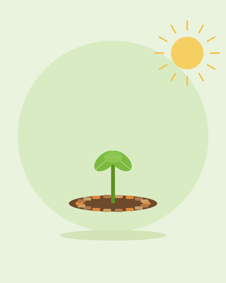 Flat illustration of een seedling ringed met mulch chips — mulching en weed control, van SeedsChoice