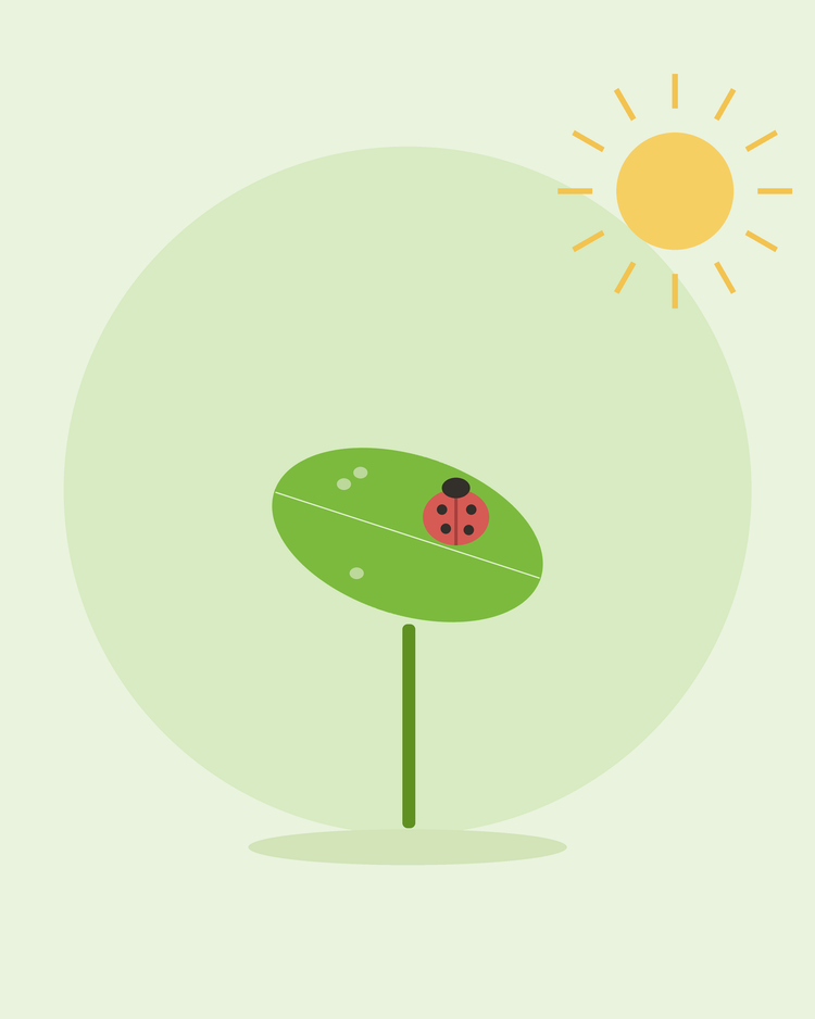 Flat illustration of een ladybird op een blad among aphids — controlling veelvoorkomend tuin pests, van SeedsChoice