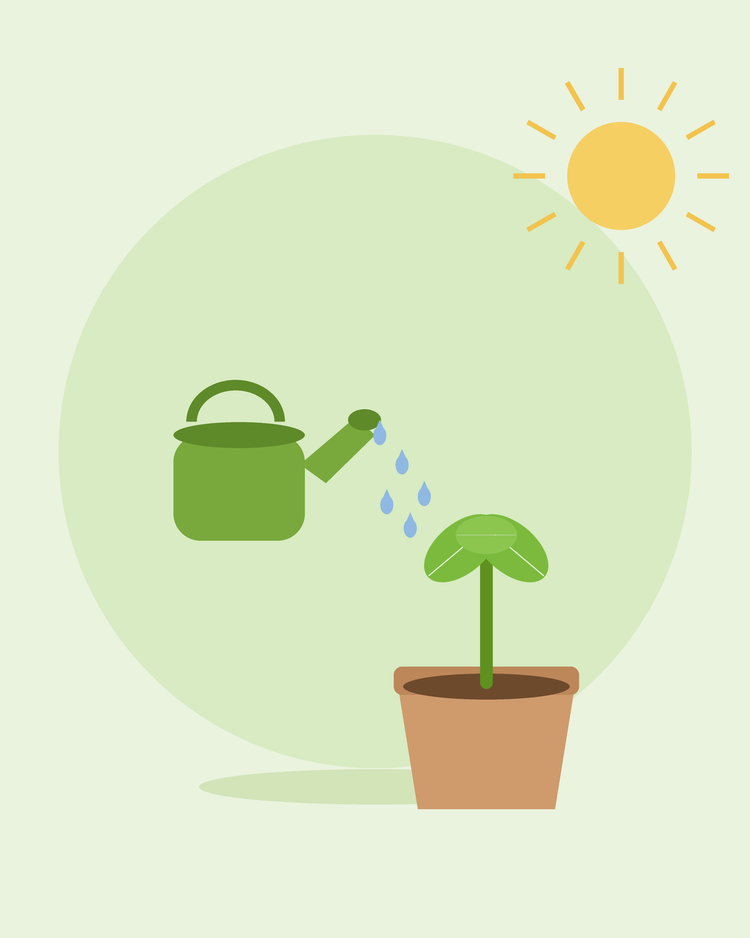 Flat illustration of een groen watering kan watering een potted seedling — watering je tuin, van SeedsChoice