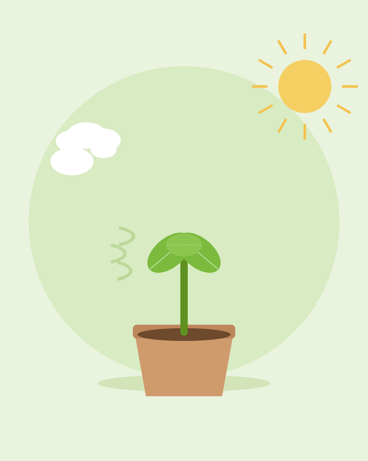 Flat illustration of een potted seedling buiten in zon en breeze — afharden zaailingen, van SeedsChoice