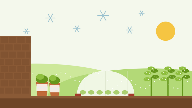 How to protect plants from frost — flat illustration of a fleece tunnel over a vegetable bed, wrapped pots against a house wall and frosted kale under ice crystals