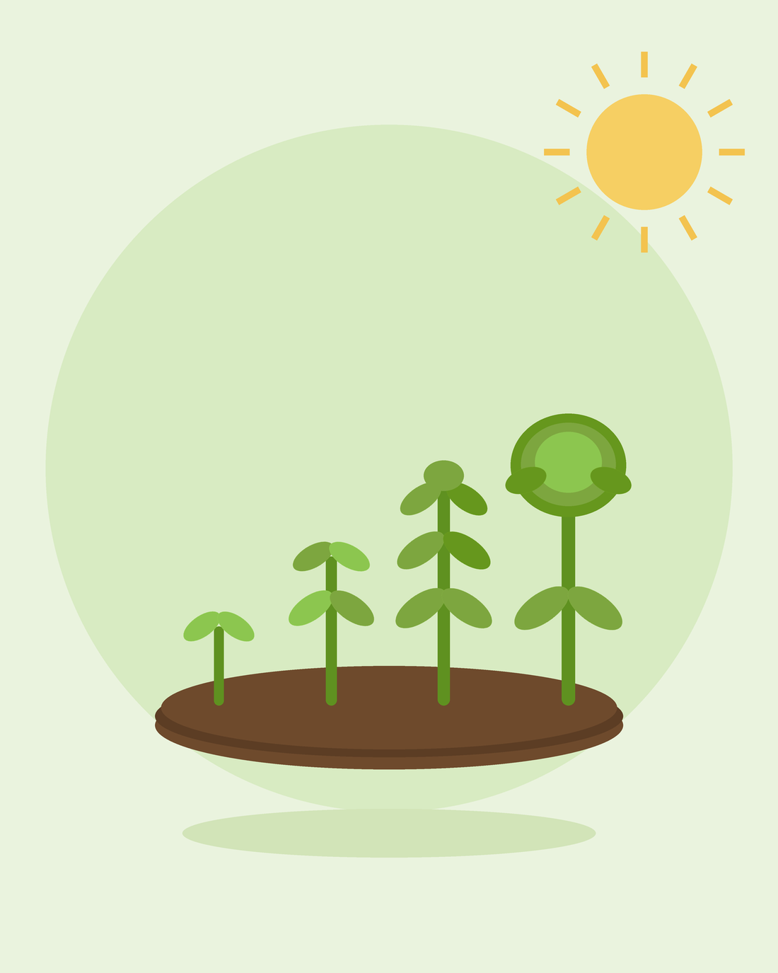 Flat illustration of een row of planten kweken in stages van sprout naar oogst-ready — succession zaaien, van SeedsChoice