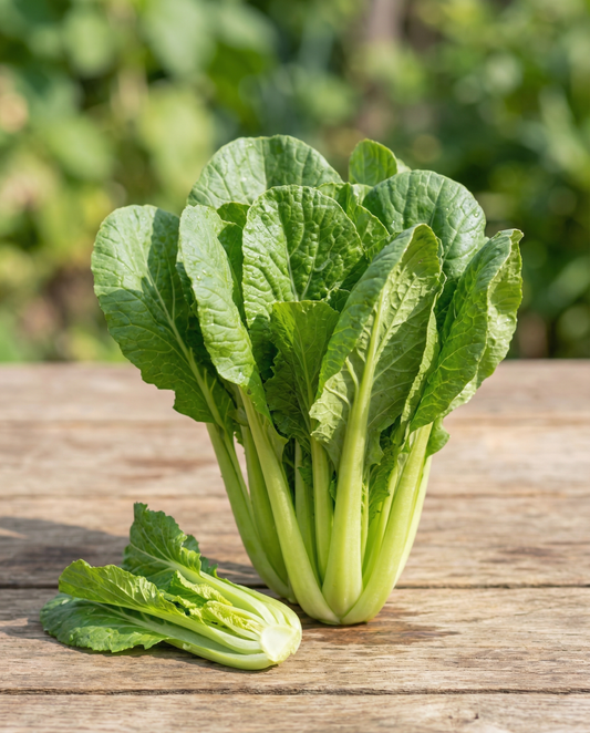 Turnip Greens Seeds Organic Brassica Rapa Annual Namenia