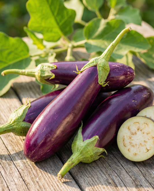 Eggplant Seeds Violetta Lunga 2 Solanum Melongena Annual