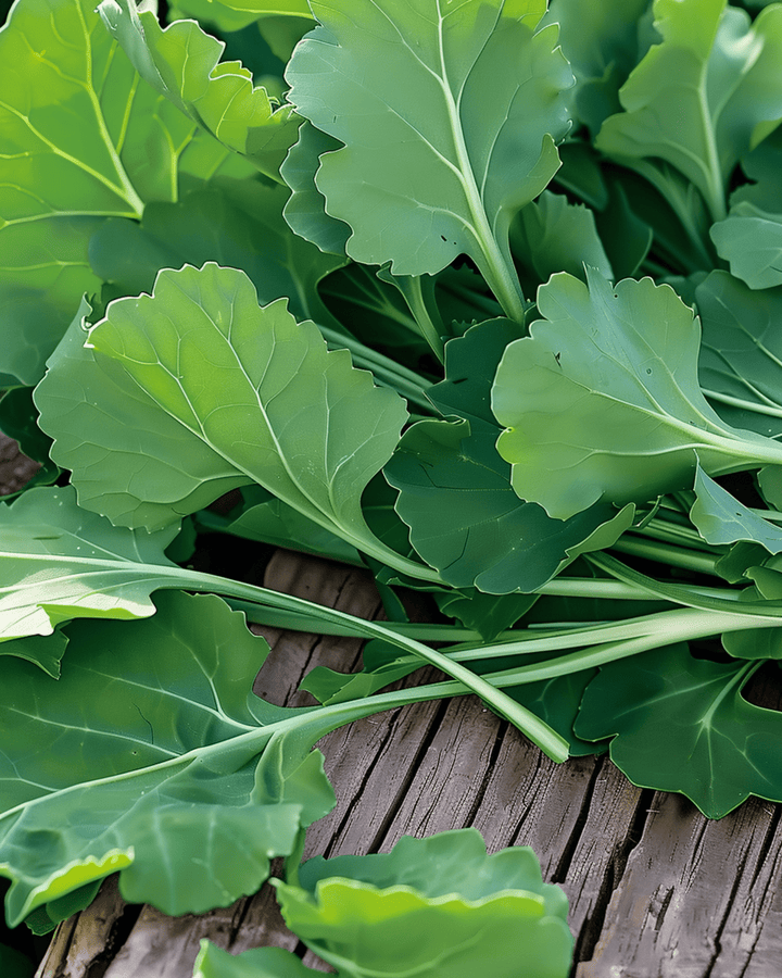Turnip Leaves Seeds Brassica Rapa Annual