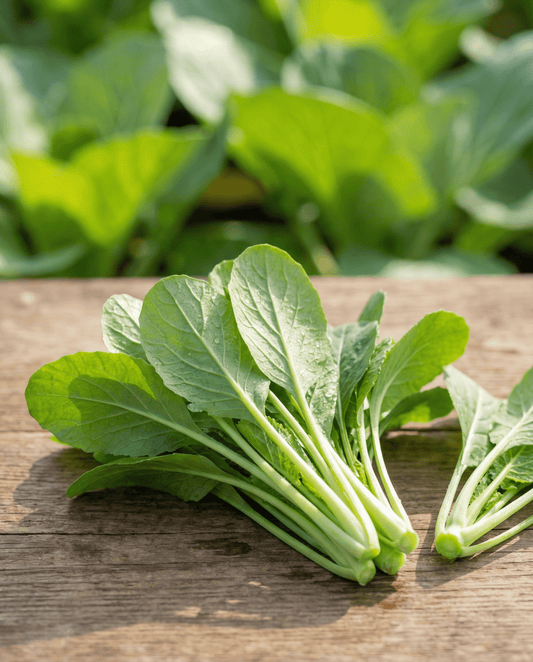 Greens Namenia Seeds Brassica Rapa Annual Leaf Vegetable