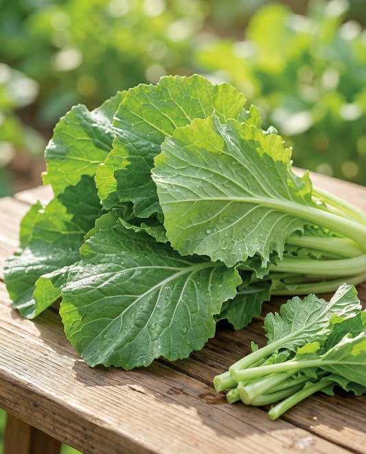 Amsoi Seeds Brassica Juncea Annual Vegetable