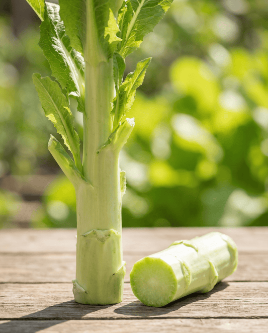 Celtuce Lettuce Seeds Lactuca Sativa Annual Vegetable