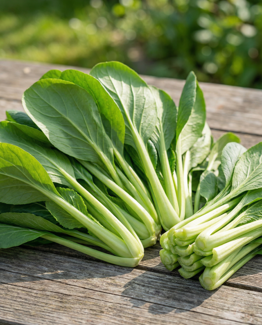 Komatsuna Seeds Brassica Rapa Mustard Spinach Vegetable