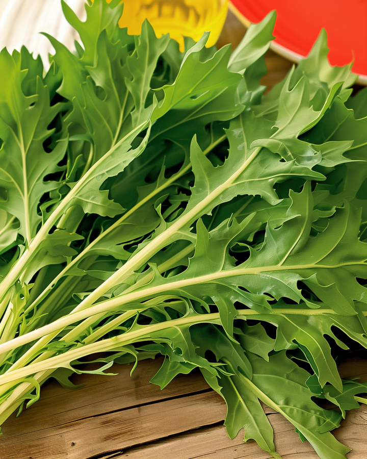 Mizuna Seeds Brassica Rapa Vegetable