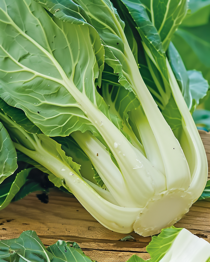 Pak Choi Seeds Brassica Chinensis Annual Vegetable Variety