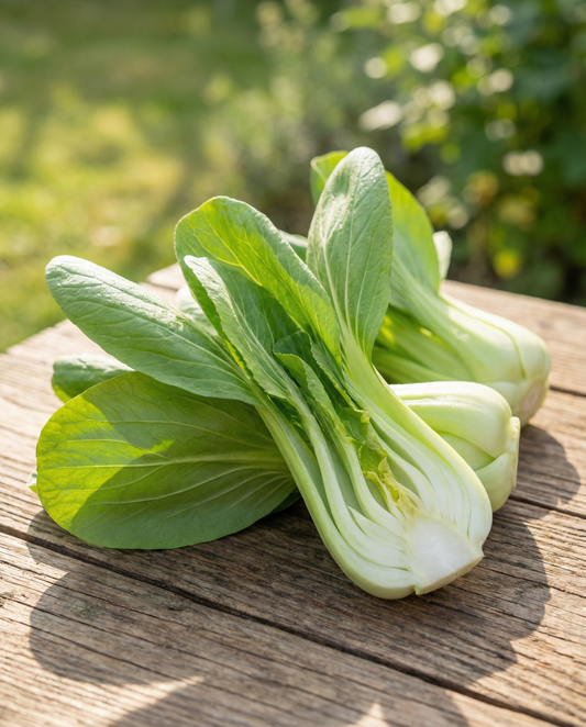 Pak Choi Seeds Brassica Chinensis Annual Vegetable Variety