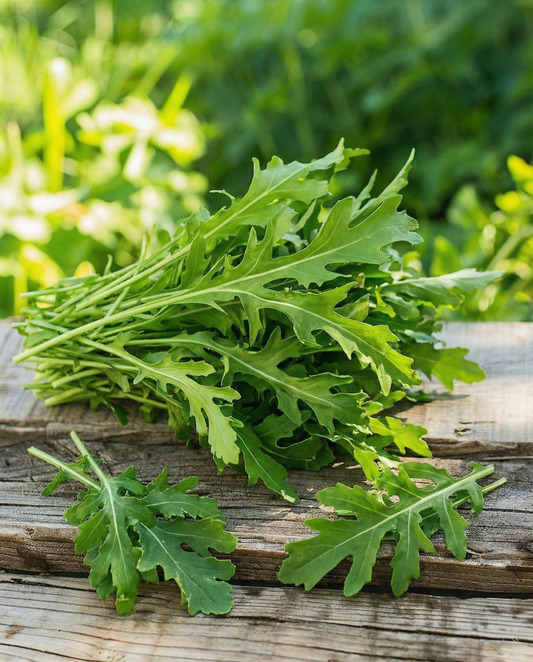 Wild Rocket Seeds Diplotaxis Tenuifolia Perennial Vegetable