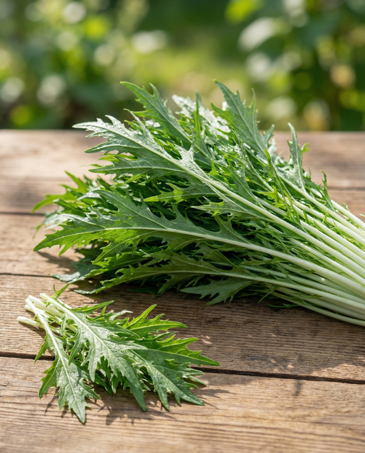 Mizuna Seeds Brassica Rapa Leafy Vegetable