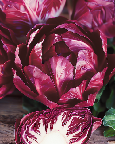 Chicory Rossa Di Verona Tardiva Samen (Cichorium intybus) – zweijähriges Gemüse