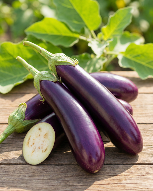 Eggplant Violetta Lunga Seeds Solanum Melongena Medium Early Variety