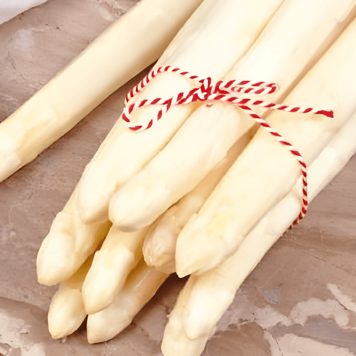 Asparagus Argenteuil Seeds Asparagus Officinalis Perennial Variety