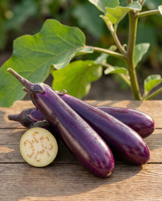 Eggplant Seeds Violetta Lunga 2 Solanum Melongena Annual Long Purple
