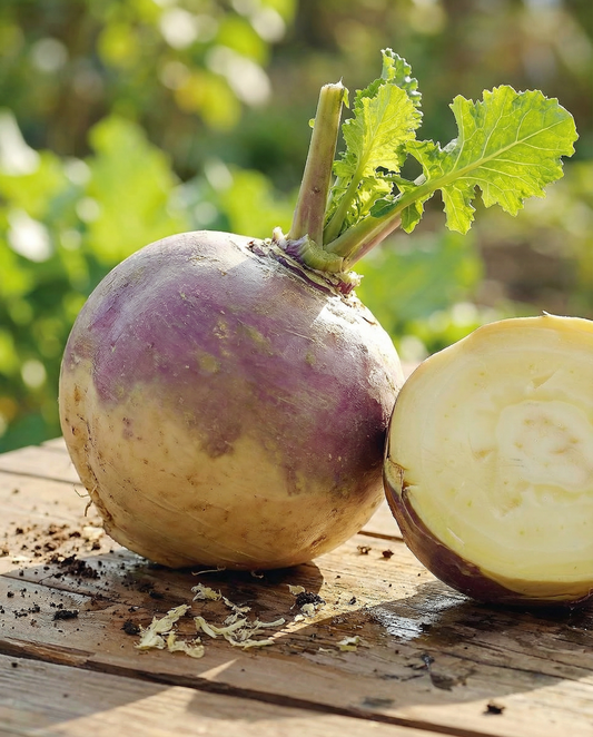 Swede Seeds Champion Brassica Napus Annual Vegetable Variety