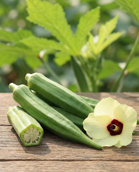 Okra Seeds Clemson Spineless Abelmoschus Esculentus Annual Vegetable