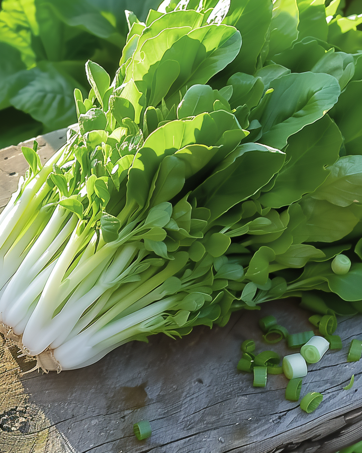 Leaf Lettuce Seeds Witte Dunsel Lactuca Sativa Annual Salad Greens