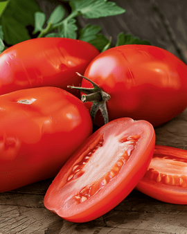 Tomato Roma Vf Seeds Solanum Lycopersicum Annual Variety