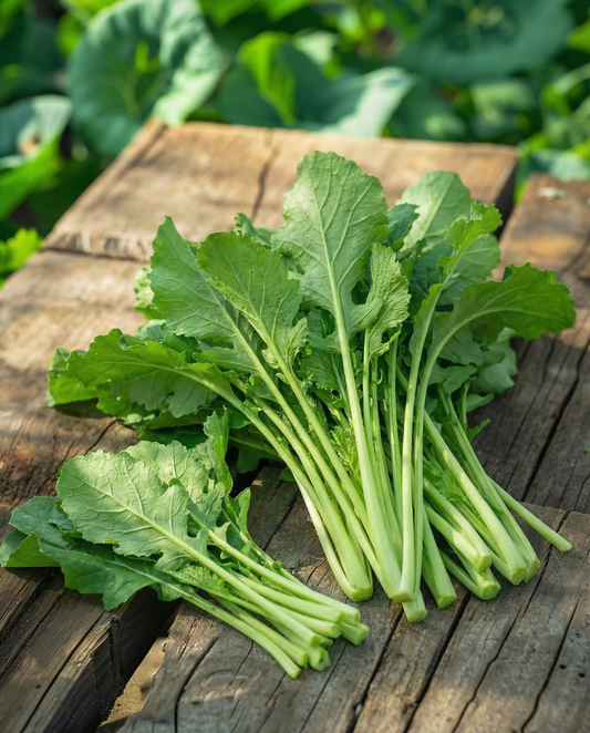 Turnip Greens Seeds Brassica Rapa Annual Namenia Bladmoes 50g