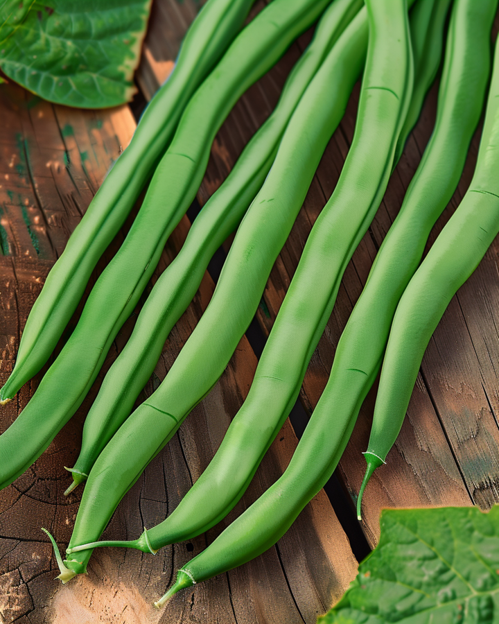 Bush Bean Seeds Dawson Phaseolus Vulgaris Annual 50g