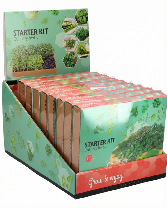 Culinary Herb Seeds Kit With 6 Varieties Starter Set