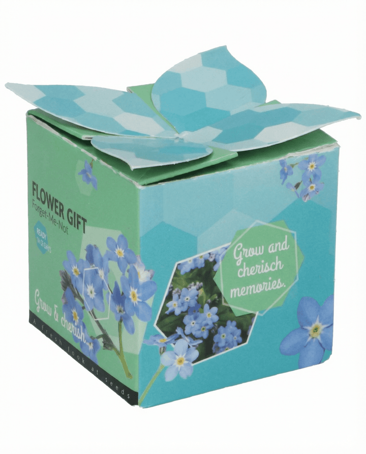 Forget-Me-Not Seeds Myosotis Alpestris Biennial Grow Kit Terracotta Pot 0.1g