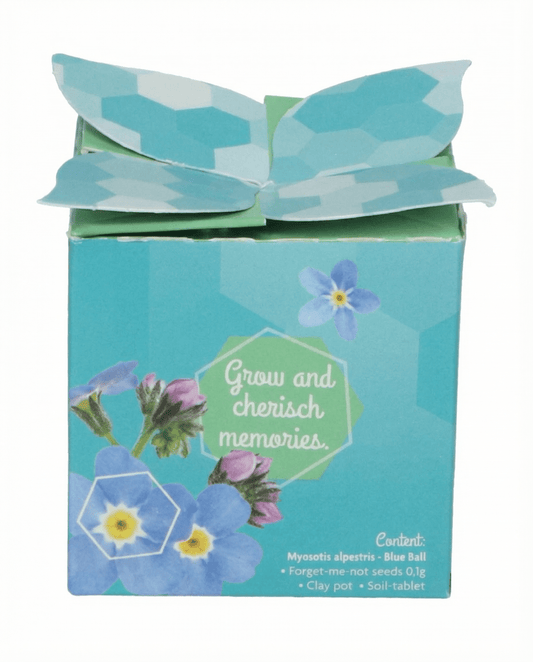 Forget-Me-Not Seeds Myosotis Alpestris Biennial Grow Kit Terracotta Pot 0.1g