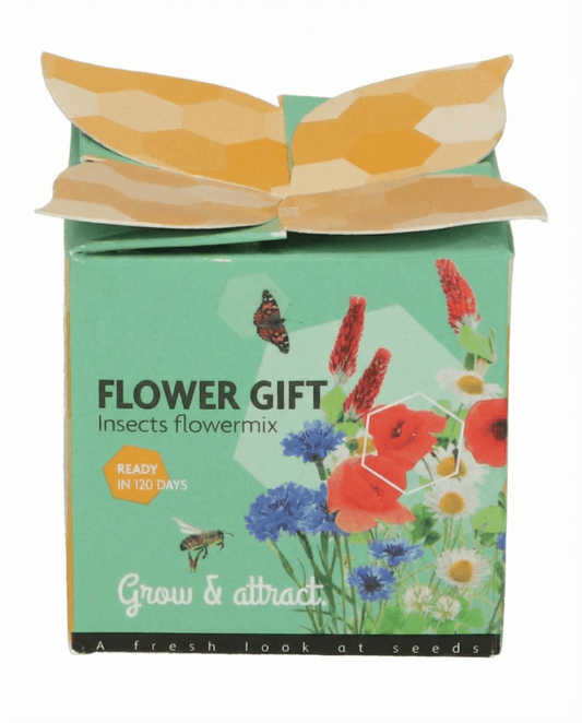 Insect Flower Mix Seeds Terracotta Pot Grow Kit Gift Set