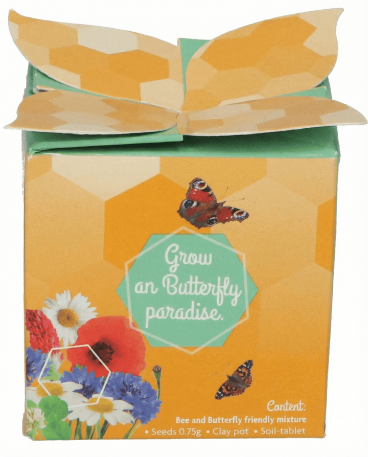 Insect Flower Mix Seeds Terracotta Pot Grow Kit Gift Set