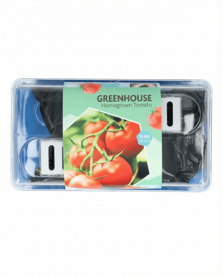 Tomato Seeds Maja Solanum Lycopersicum Greenhouse Kit Patio Variety