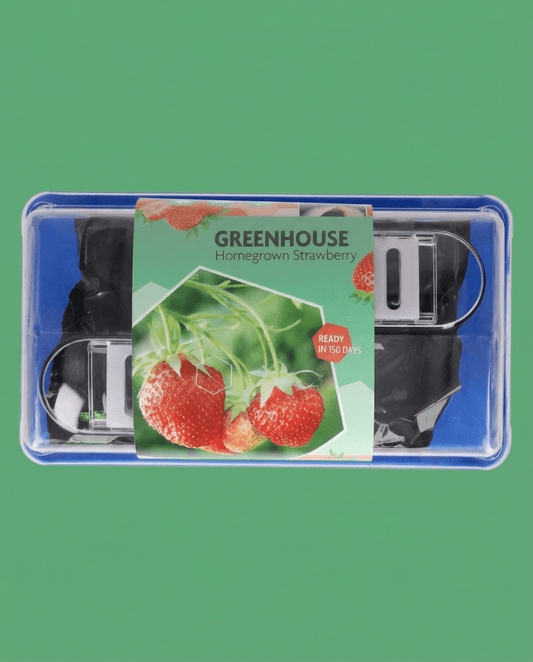 Strawberry Seeds Fragaria Ananassa Perennial Grandian F1 Greenhouse Kit