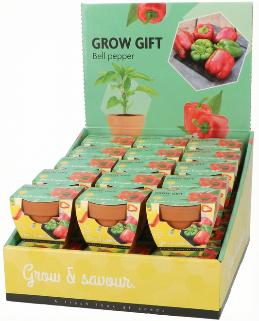 Bell Pepper Seeds Capsicum Annuum Vegetable Grow Kit Terracotta Pot