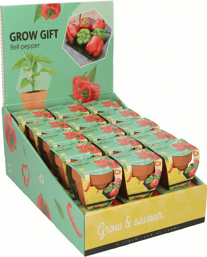 Bell Pepper Seeds Capsicum Annuum Vegetable Grow Kit Terracotta Pot