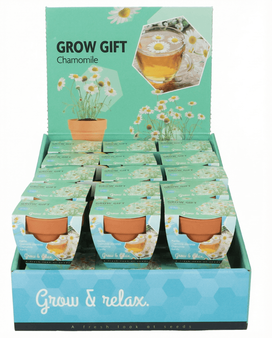 Chamomile Seeds Matricaria Chamomilla Annual Herb Grow Kit