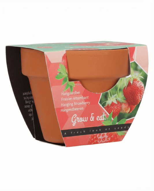Hanging Strawberry Seeds Fragaria Ananassa Perennial
