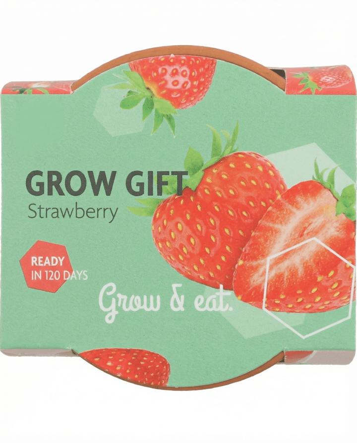 Hanging Strawberry Seeds Fragaria Ananassa Perennial
