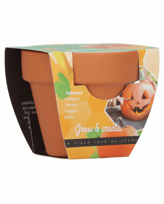 Halloween Pumpkin Seeds Cucurbita Pepo Vegetable Grow Kit