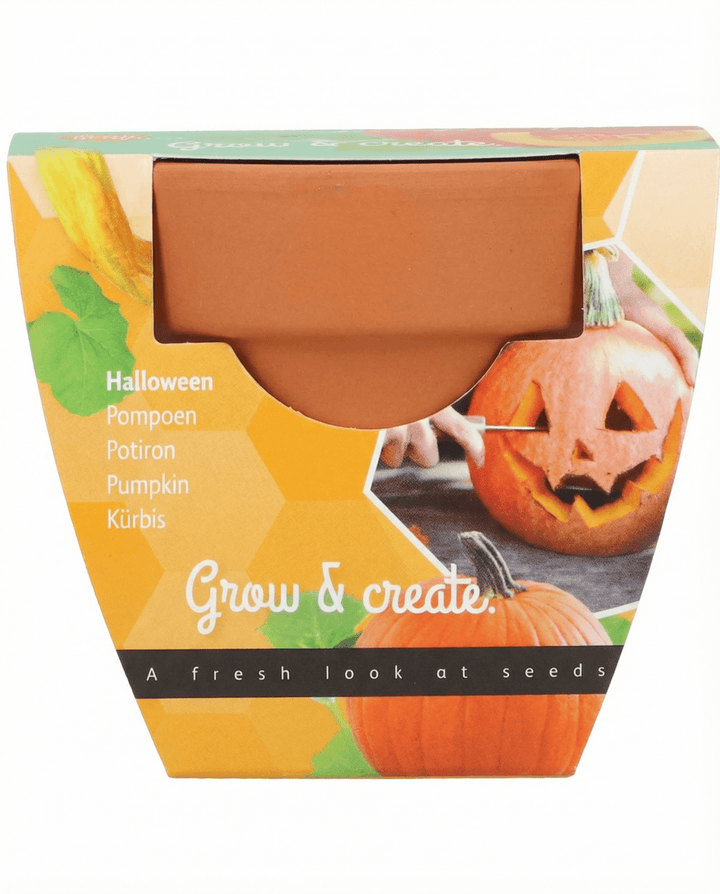 Halloween Pumpkin Seeds Cucurbita Pepo Vegetable Grow Kit