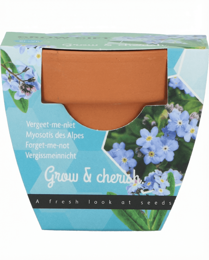 Forget Me Not Seeds Myosotis Alpestris Flower Grow Kit