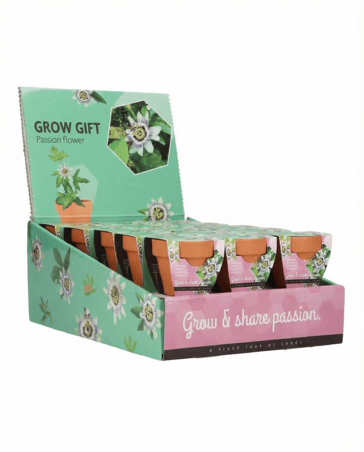 Passiflora Seeds Passion Flower Grow Gift Kit Terracotta Pot 30 Pack
