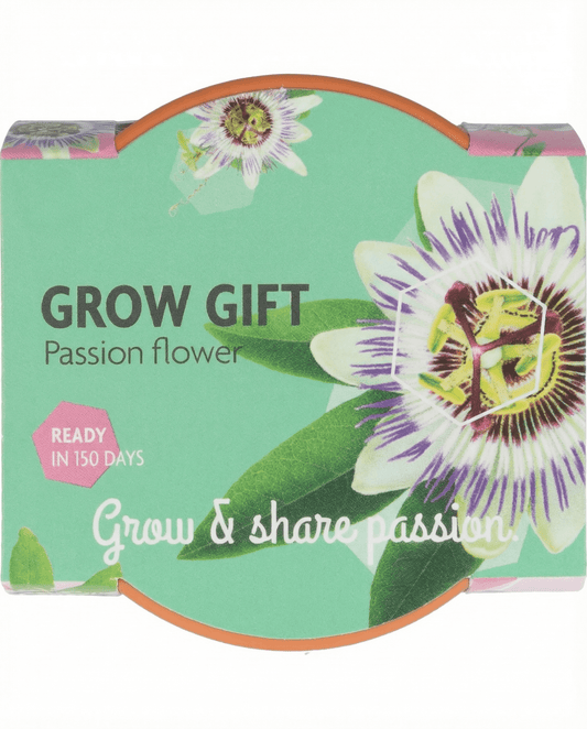 Passiflora Seeds Passion Flower Grow Gift Kit Terracotta Pot 30 Pack