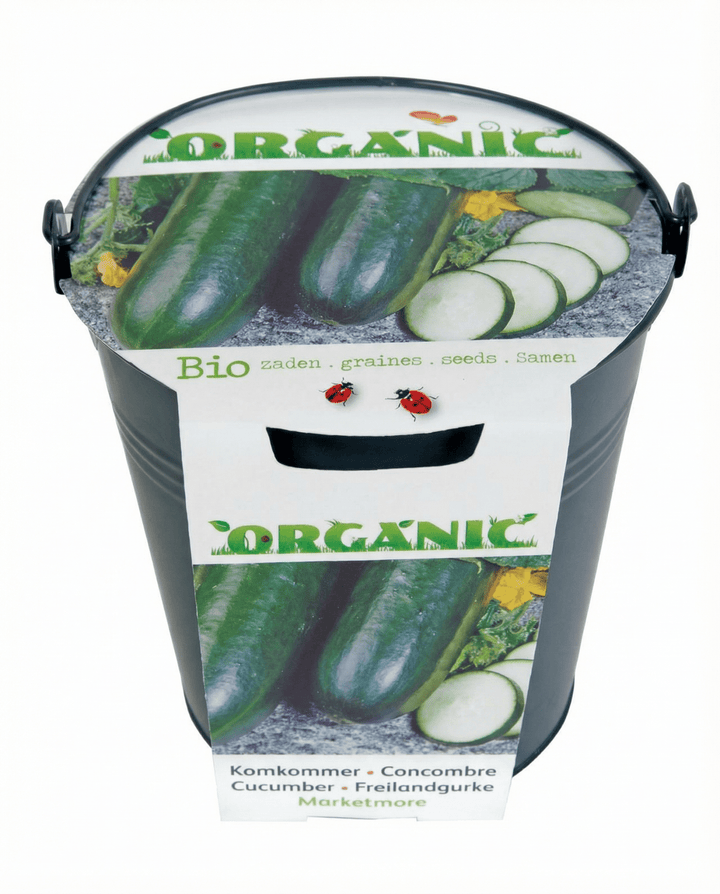 Cucumber Seeds Organic Cucumis Sativus Marketmore Variety